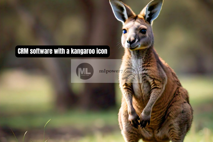 CRM software with a kangaroo icon